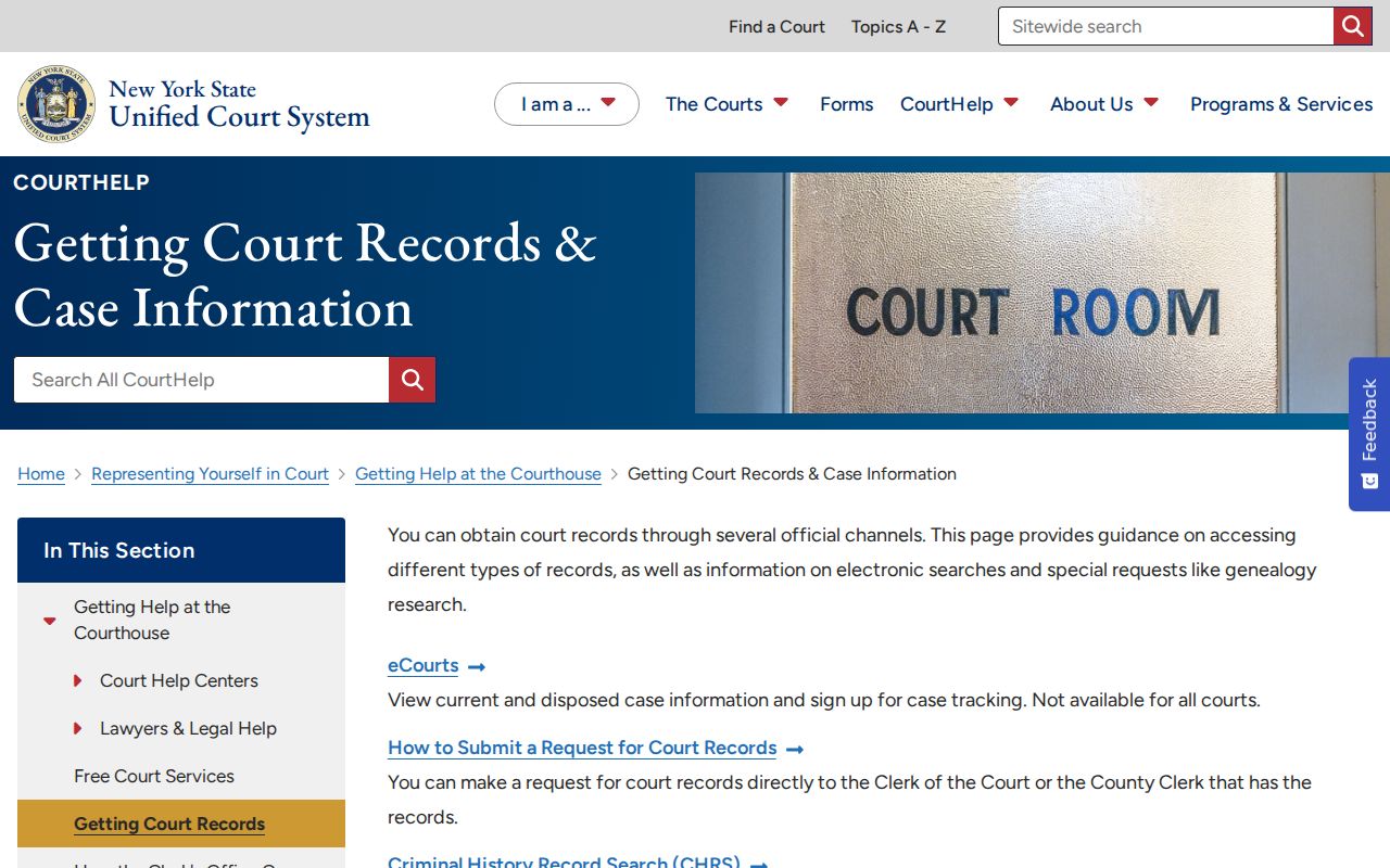 Sullivan County criminal court case record guidance from New York courts